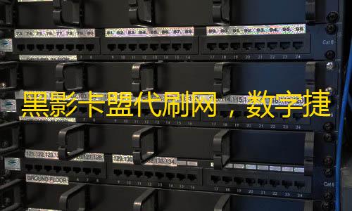 黑影卡盟代刷網 數字捷徑背后的隱秘江湖與安全迷思